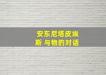 安东尼塔皮埃斯 与物的对话